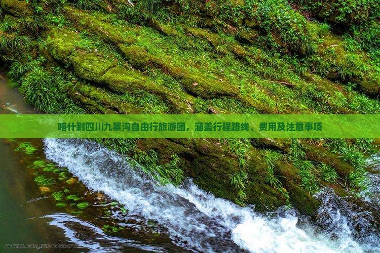 喀什到四川九寨沟自由行旅游团，涵盖行程路线、费用及注意事项