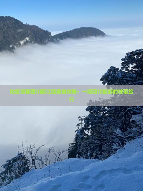 哈密游客四川都江堰美食攻略：一场四川旅游的味蕾旅行