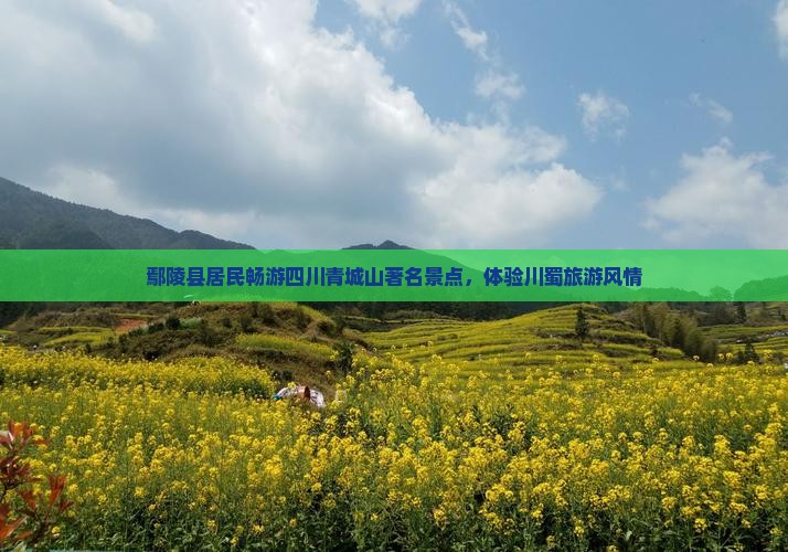 鄢陵县居民畅游四川青城山著名景点，体验川蜀旅游风情