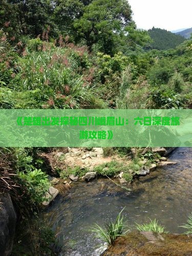 《楚雄出发探秘四川峨眉山：六日深度旅游攻略》