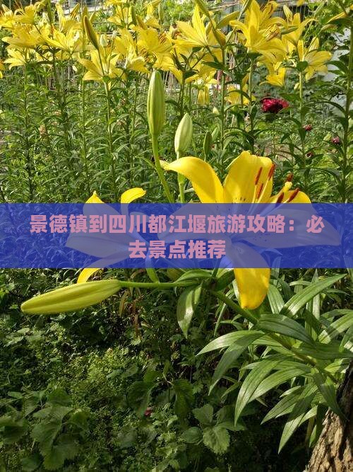 景德镇到四川都江堰旅游攻略：必去景点推荐