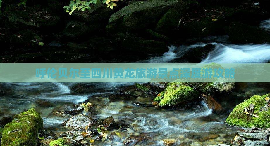 呼伦贝尔至四川黄龙旅游景点深度游攻略