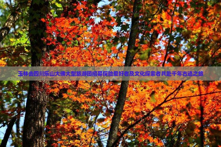 玉林去四川乐山大佛大型旅游团招募探险爱好者及文化探索者共赴千年古迹之旅