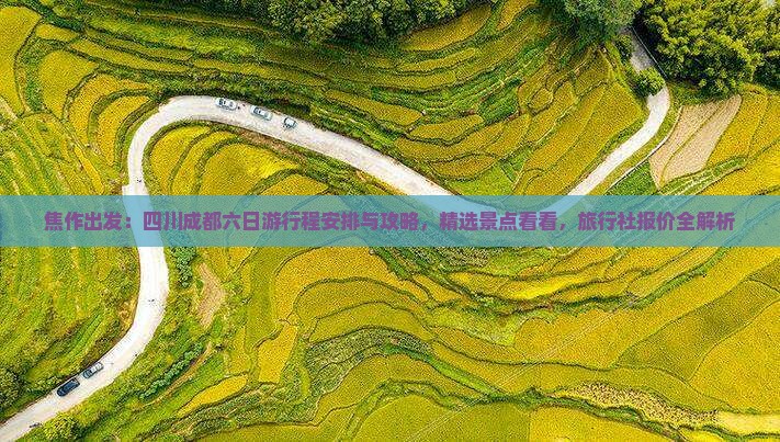 焦作出发：四川成都六日游行程安排与攻略，精选景点看看，旅行社报价全解析