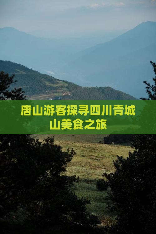 唐山游客探寻四川青城山美食之旅