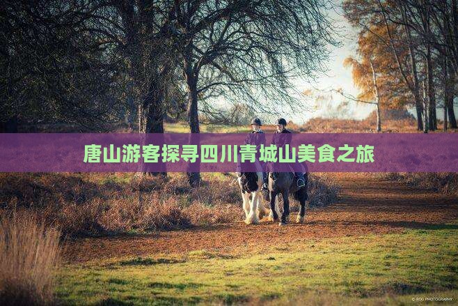 唐山游客探寻四川青城山美食之旅