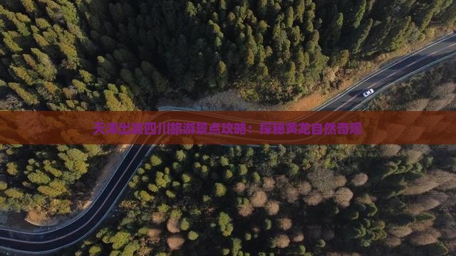 天津出发四川旅游景点攻略：探秘黄龙自然奇观