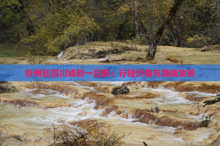 忻州到四川成都一日游：行程价格与路线攻略