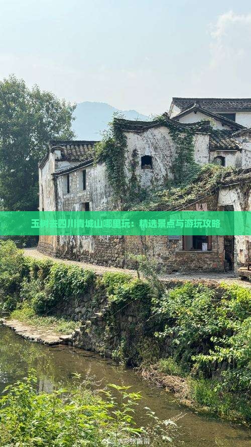 玉树去四川青城山哪里玩：精选景点与游玩攻略