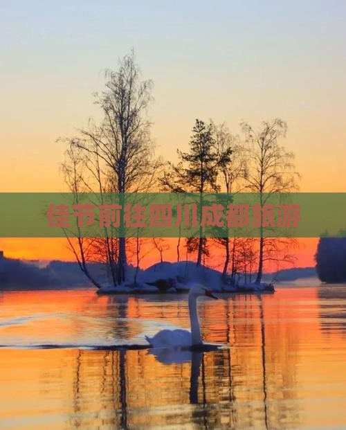 佳节前往四川成都旅游