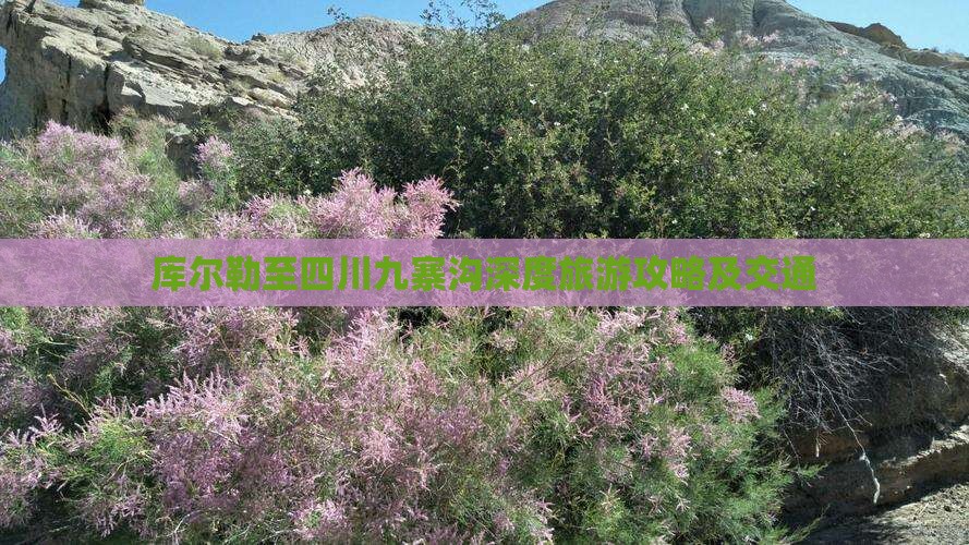 库尔勒至四川九寨沟深度旅游攻略及交通