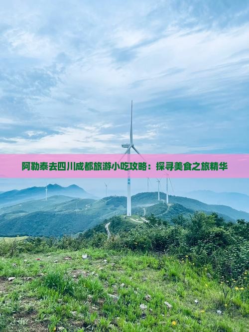 阿勒泰去四川成都旅游小吃攻略：探寻美食之旅精华