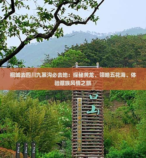 桐城去四川九寨沟必去地：探秘黄龙、领略五花海、体验藏族风情之旅