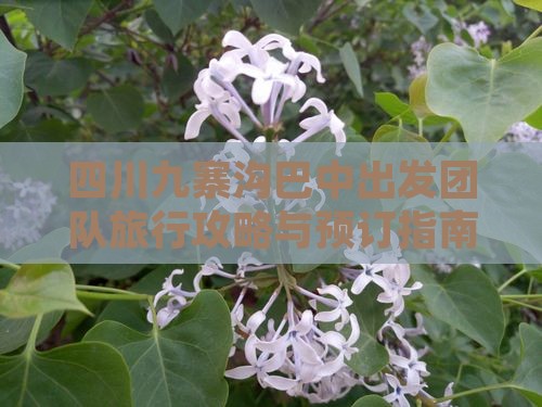 四川九寨沟巴中出发团队旅行攻略与预订指南