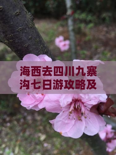 海西去四川九寨沟七日游攻略及费用路线