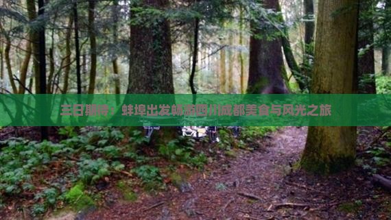 三日期待：蚌埠出发畅游四川成都美食与风光之旅