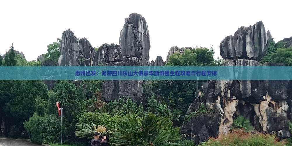 惠州出发：畅游四川乐山大佛豪华旅游团全程攻略与行程安排
