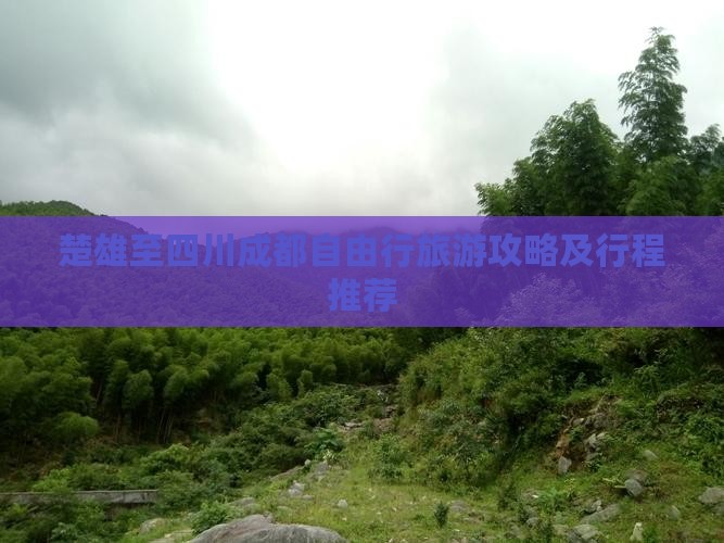 楚雄至四川成都自由行旅游攻略及行程推荐