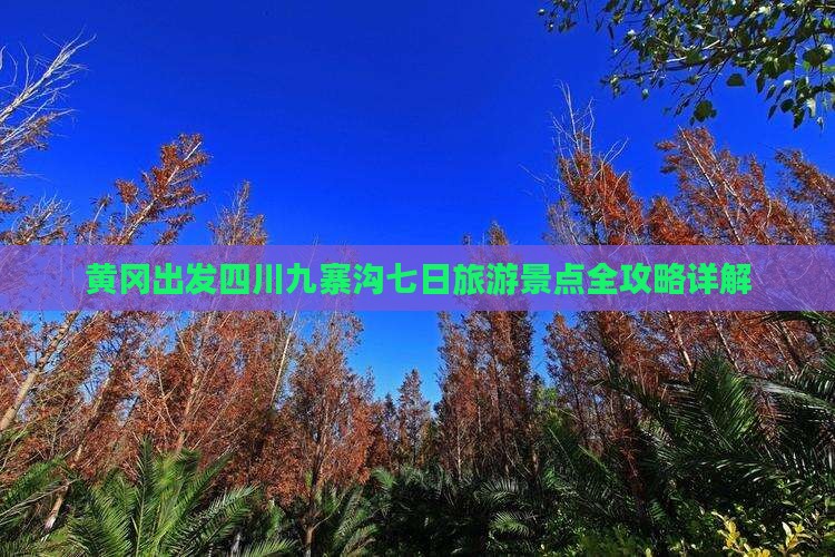 黄冈出发四川九寨沟七日旅游景点全攻略详解