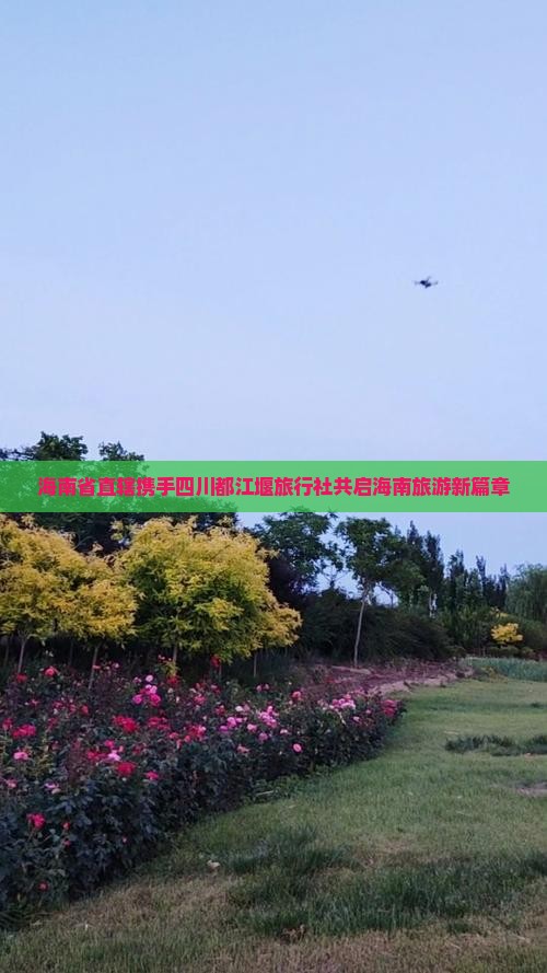 海南省直辖携手四川都江堰旅行社共启海南旅游新篇章
