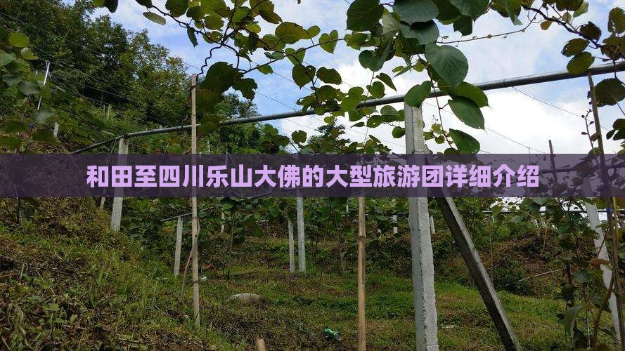 和田至四川乐山大佛的大型旅游团详细介绍