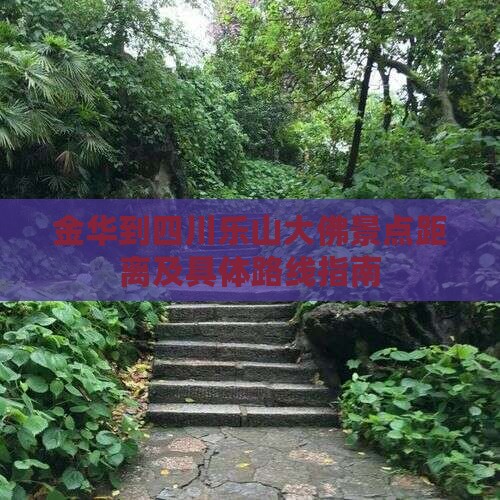 金华到四川乐山大佛景点距离及具体路线指南