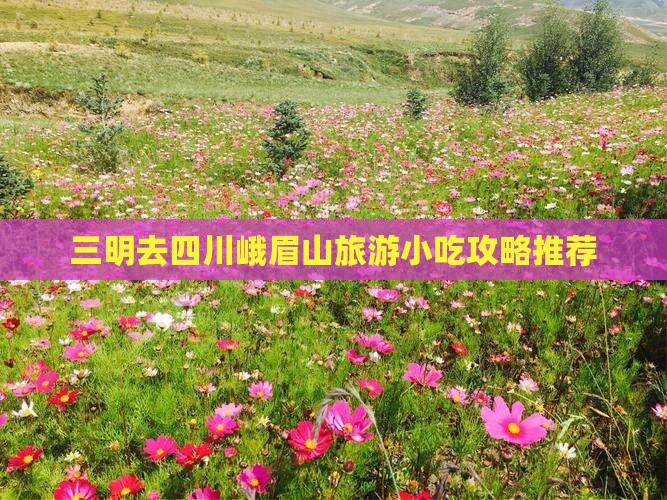 三明去四川峨眉山旅游小吃攻略推荐
