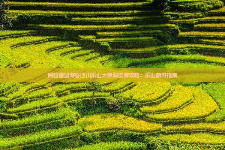 阿拉善盟游客四川乐山大佛深度游攻略：乐山旅游指南
