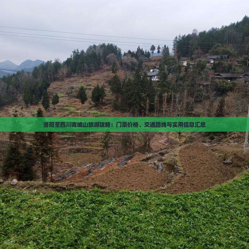 洛阳至四川青城山旅游攻略：门票价格、交通路线与实用信息汇总
