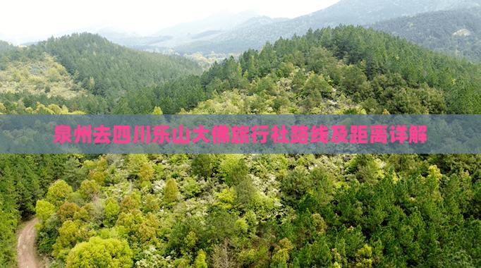 泉州去四川乐山大佛旅行社路线及距离详解