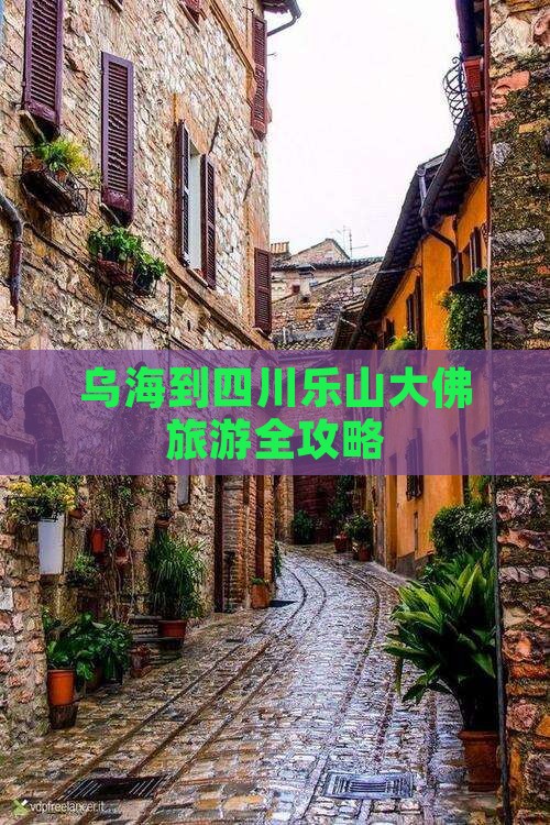 乌海到四川乐山大佛旅游全攻略
