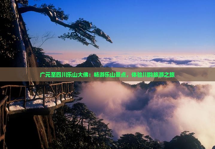 广元至四川乐山大佛：畅游乐山景点，体验川韵旅游之旅