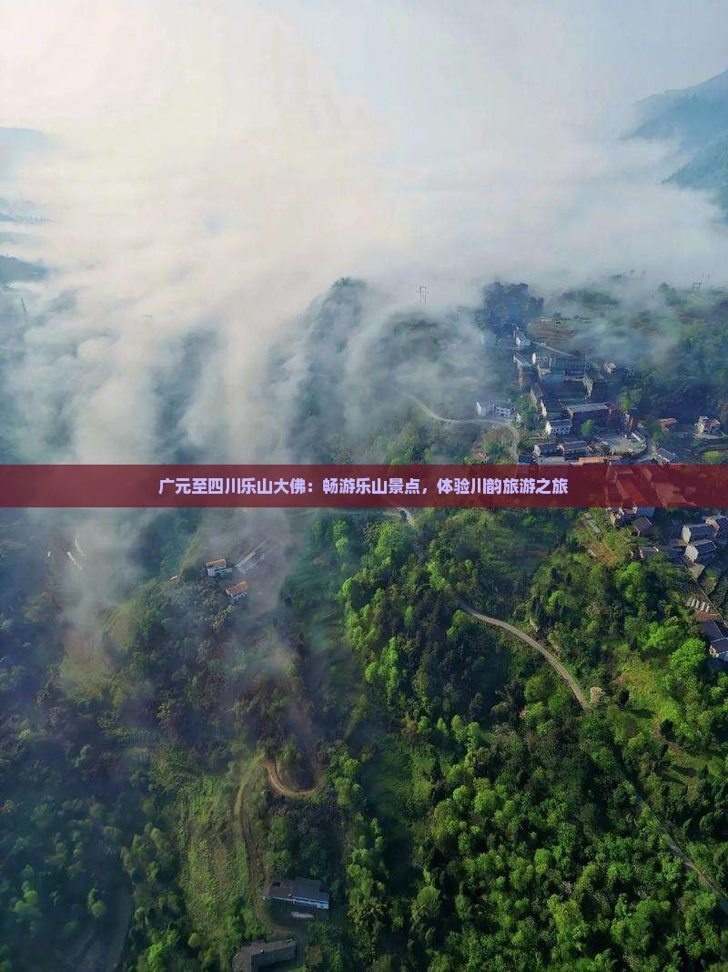 广元至四川乐山大佛：畅游乐山景点，体验川韵旅游之旅