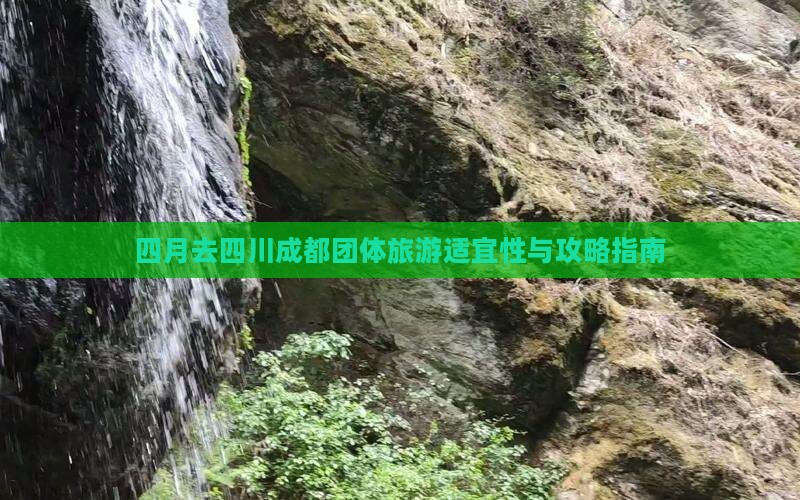 四月去四川成都团体旅游适宜性与攻略指南