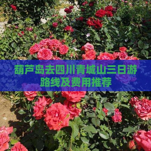 葫芦岛去四川青城山三日游路线及费用推荐