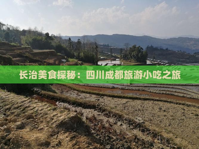 长治美食探秘：四川成都旅游小吃之旅