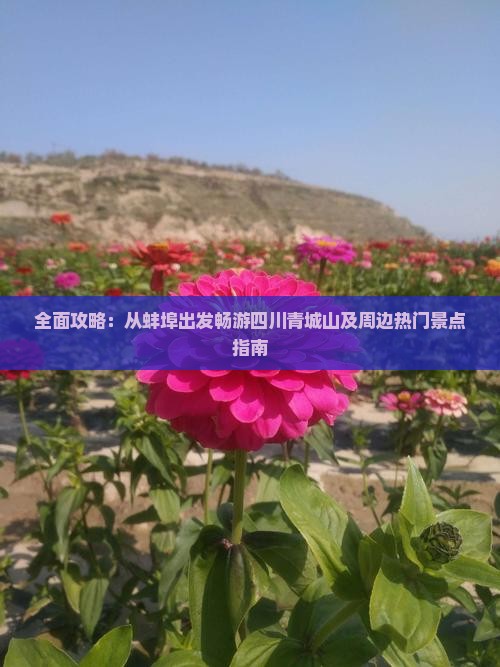 全面攻略：从蚌埠出发畅游四川青城山及周边热门景点指南
