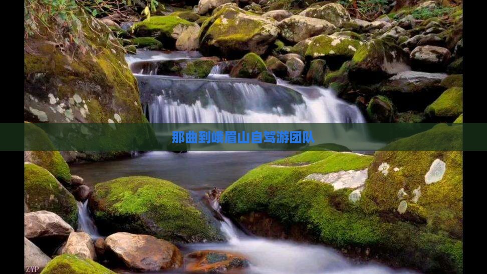 那曲到峨眉山自驾游团队