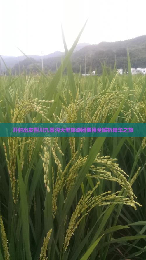 开封出发四川九寨沟大型旅游团费用全解析精华之旅