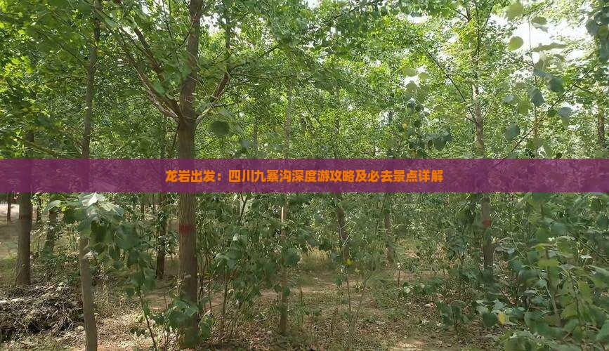 龙岩出发：四川九寨沟深度游攻略及必去景点详解