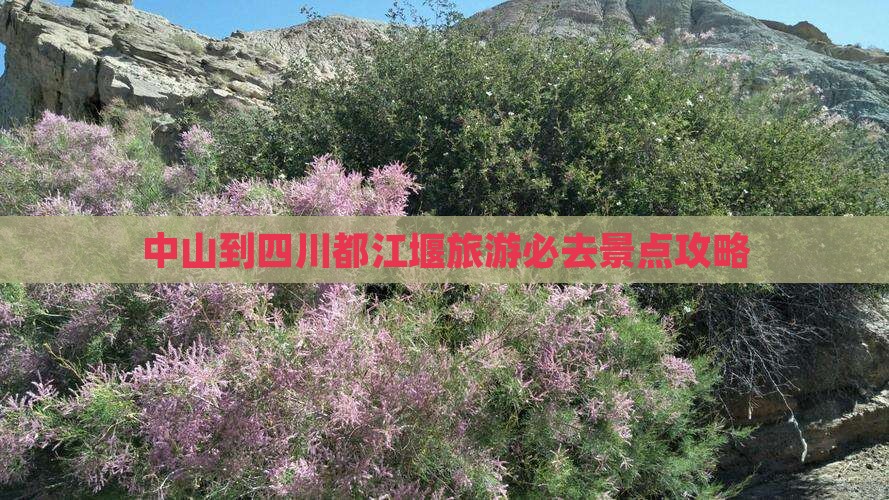 中山到四川都江堰旅游必去景点攻略