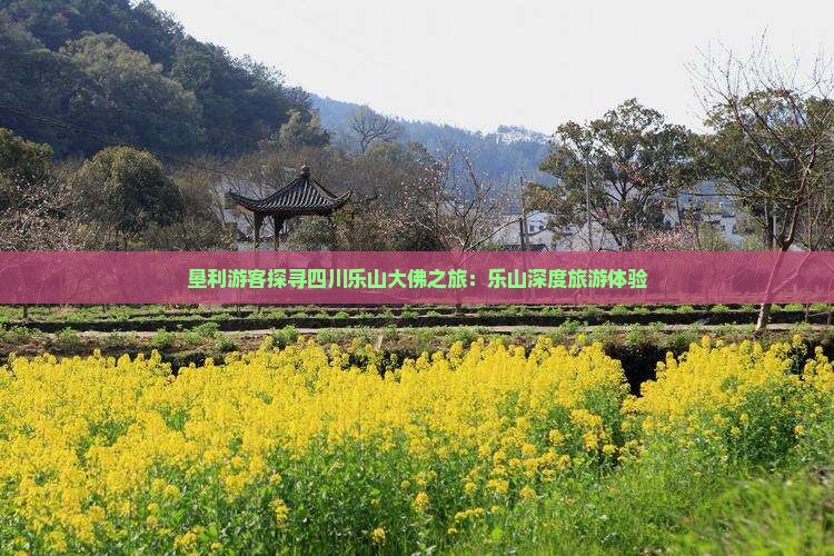 垦利游客探寻四川乐山大佛之旅：乐山深度旅游体验