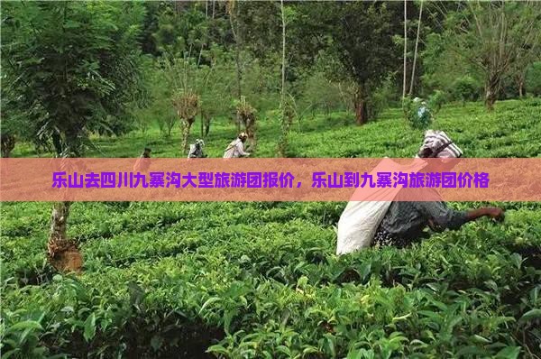 乐山去四川九寨沟大型旅游团报价，乐山到九寨沟旅游团价格
