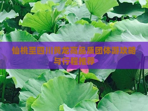 仙桃至四川黄龙高品质团体游攻略与行程推荐