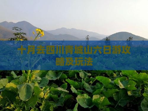 十月去四川青城山六日游攻略及玩法