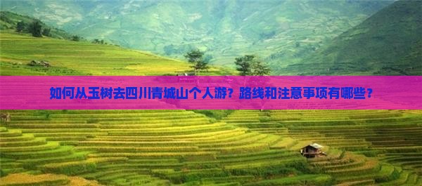 玉树去四川青城山个人游