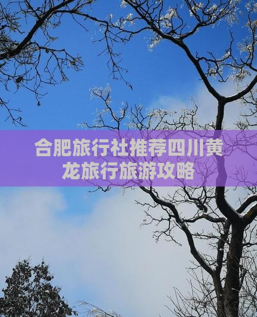 合肥到四川黄龙旅行社