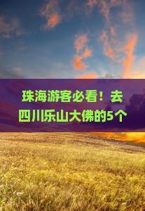 珠海去四川乐山大佛必去地