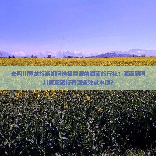 海南去四川黄龙旅行社