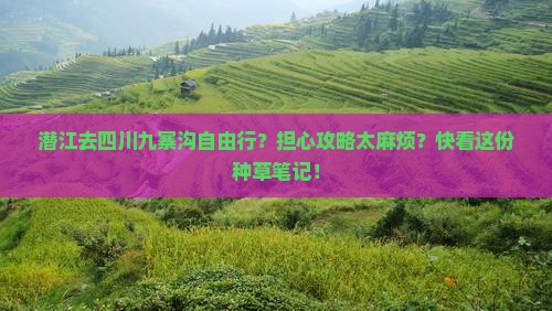 潜江去四川九寨沟自由行